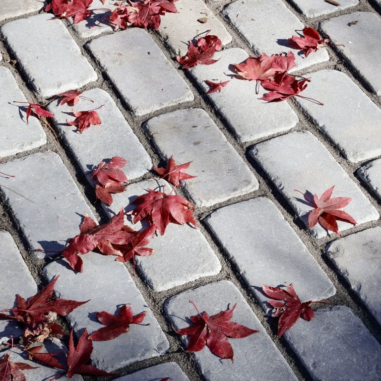 Best close-up image for Bluestone Blue/Gray - Cobblestone Pavers. The image shows this product being used in a driveway pavers application. The surface finish shown is . The dominant color shown is gray; with blue and white secondaries. The color mix creates a cool feeling. Solid color pattern.