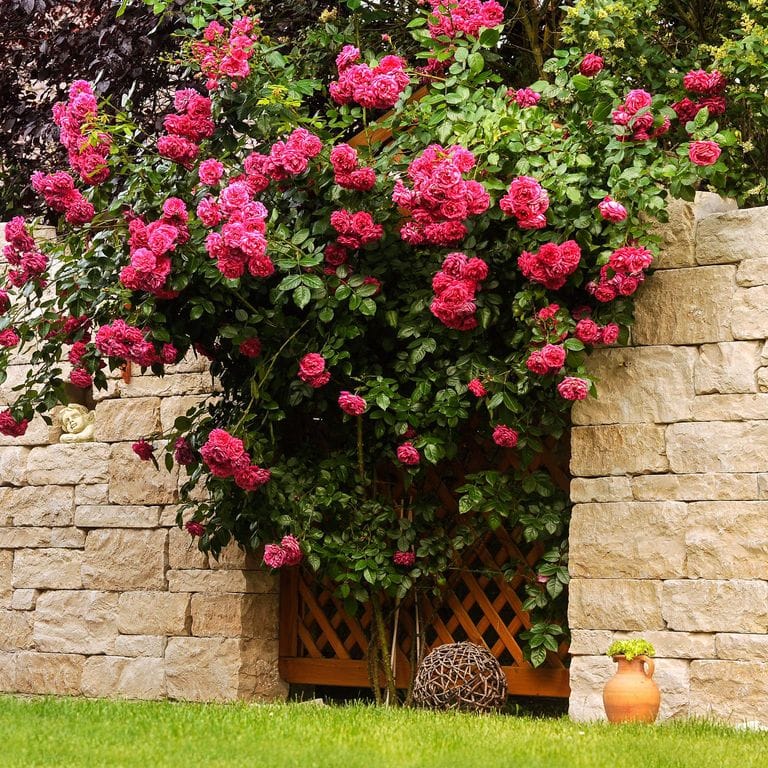 Application image for Bavarian Beige Limestone - Wallstone. The image shows this product being used in a landscape wallstone application. The surface finish shown is split-face. The dominant color shown is beige. The color mix creates a warm feeling.