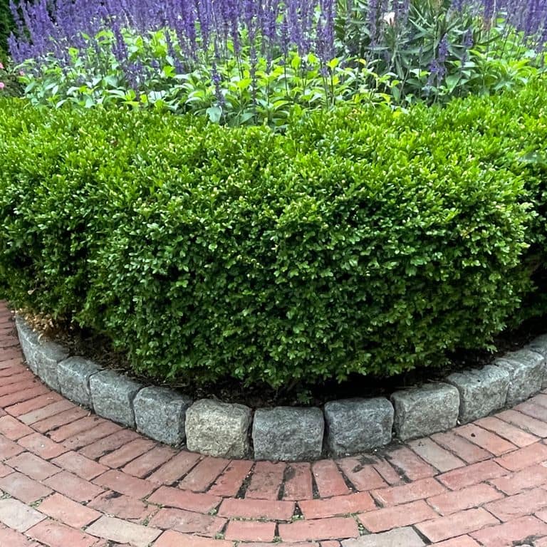 Application image for Gray Granite Cobblestone - Rectangles. The image shows this product being used in a landscape curbing &amp; edging application. The surface finish shown is tumbled. The dominant color shown is gray.