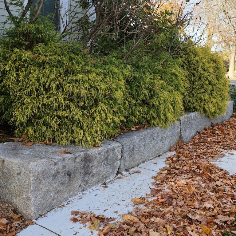 Application image for Granite - Reclaimed Block - Edging. The image shows this product being used in a landscape curbing &amp; edging application. The surface finish shown is . The dominant color shown is gray. The color mix creates a warm feeling.