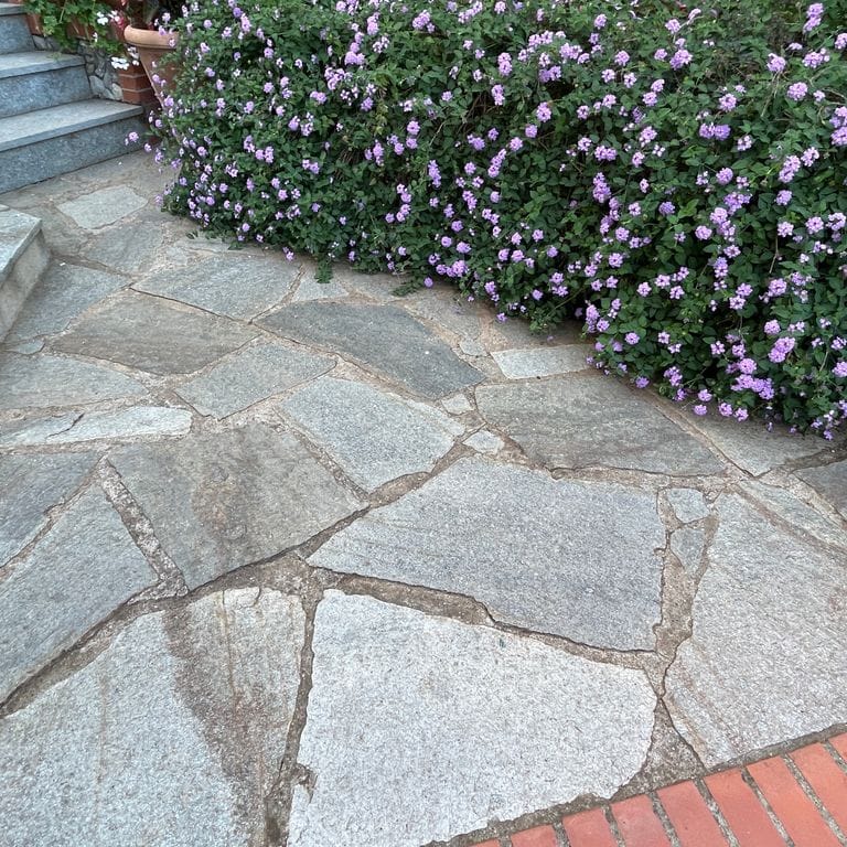 Application image for Pietra Italia Full Color Gneiss - Irregular Pavers. The image shows this product being used in a path pavers application. The surface finish shown is natural cleft. Dominant colors shown are beige and gray. The color mix creates a warm feeling.
