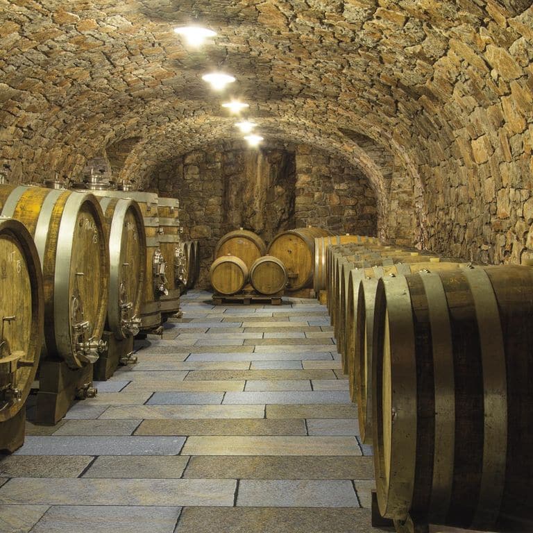 Application image for Pietra Italia Full Color Gneiss - Natural Cleft &amp; Brushed Interior Floor. The image shows this product being used in an interior floor application. Dominant colors shown are gray and tan. The color mix creates a warm feeling.