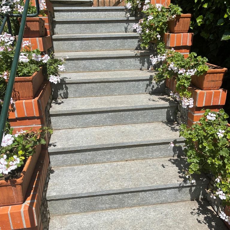 Pietra Italia Gray Gneiss - Treads
