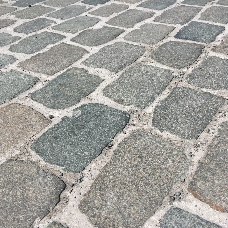 Best close-up image for Porphyry - Reclaimed European Cobblestone - Rectangle - Flat Surface. The image shows this product being used in a path pavers application. The dominant color shown is gray. Fine speckled color pattern.