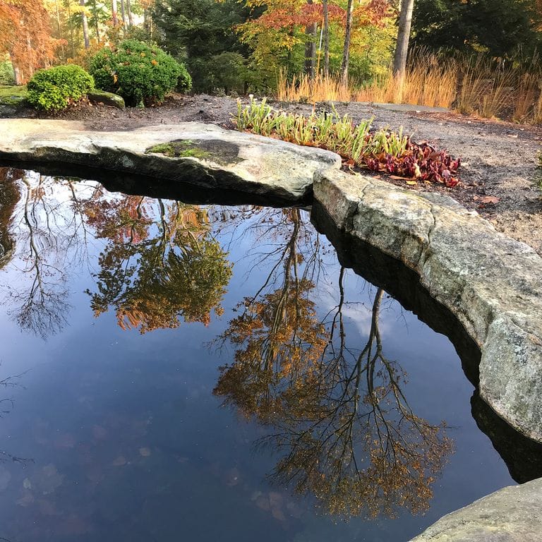 Best close-up image for Fieldstone - New England Boulders - Pool/Pond Coping. The image shows this product being used in a pond border coping application. The surface finish shown is weathered. The dominant color shown is gray; with beige, black, brown, green, orange/rust, purple, yellow, tan and cream secondaries. Exhibits "movement" and the color mix creates a warm feeling. Speckled, blotched, random and coarse speckled color patterns.