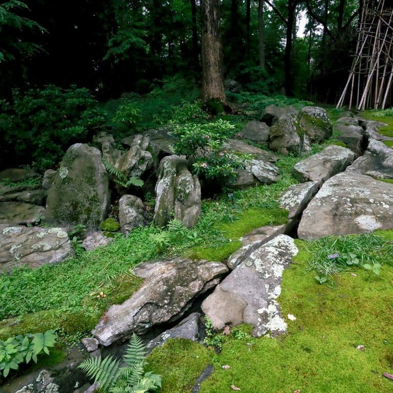 Application image for New England Fieldstone Boulders &amp; Ledgestone - Pool/Pond Coping. The image shows this product being used for water features and garden accents. The surface finish shown is weathered. The dominant color shown is gray; with beige, brown, pink, purple, white, tan and cream secondaries. Exhibits "movement" and the color mix creates a cool feeling. Regular and random color patterns.