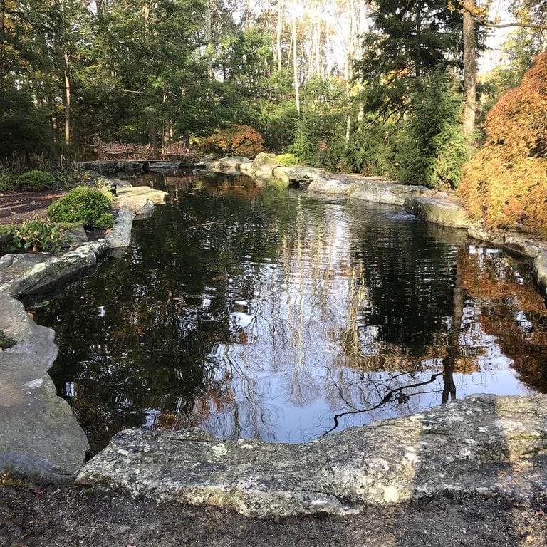 New England Fieldstone Boulders &amp; Ledgestone - Pool/Pond Coping
