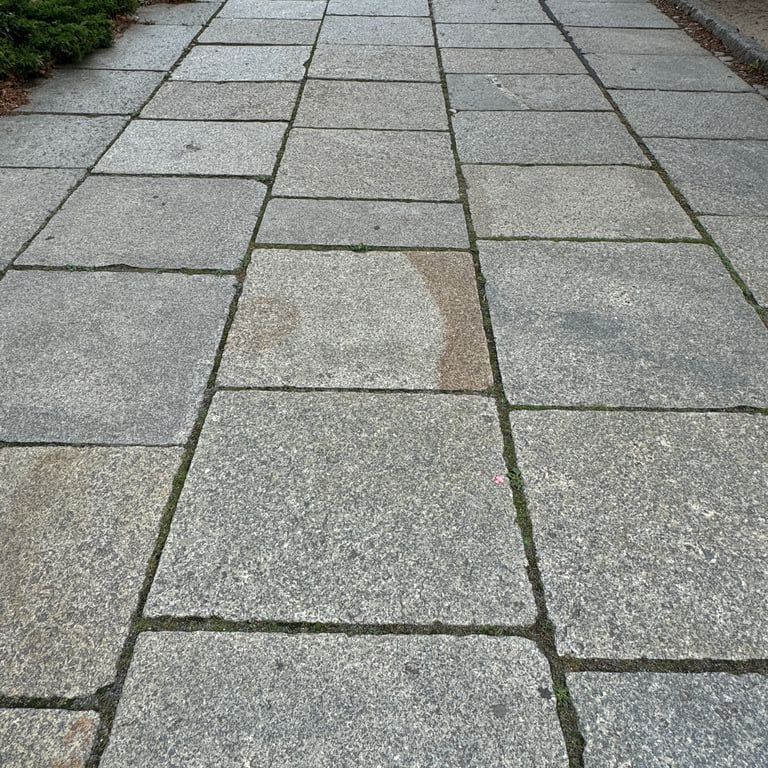 Application image for Granite - Reclaimed Berlin Sidewalk Stones. The image shows this product being used in a path pavers application. The surface finish shown is . The dominant color shown is gray. The color mix creates a cool feeling.